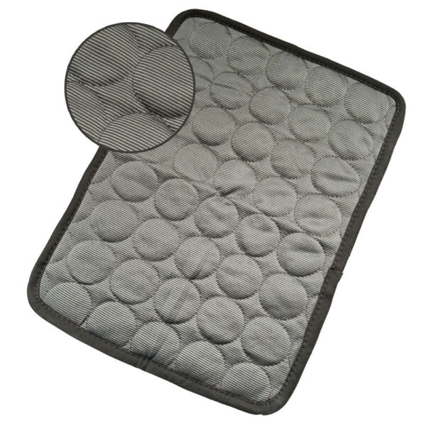 Cooling Comfort for Pets: Ice Silk Summer Mat in Multiple Sizes & Colors